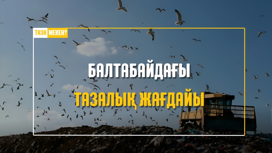 Балтабайдағы тазалық: қоқыс орындары қалай өзгерді?