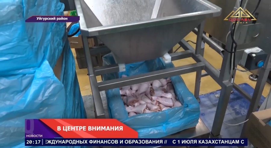 В центре внимания