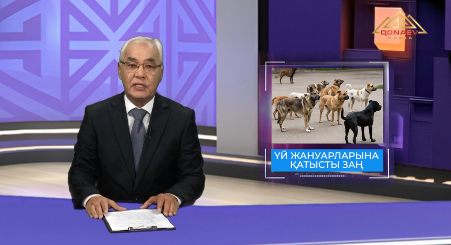 Үй жануарларына қатысты заң