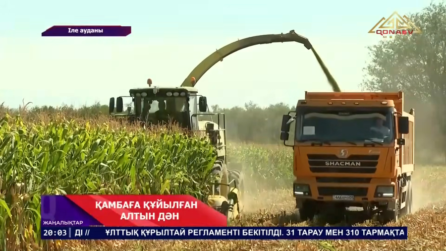 Егін орағы