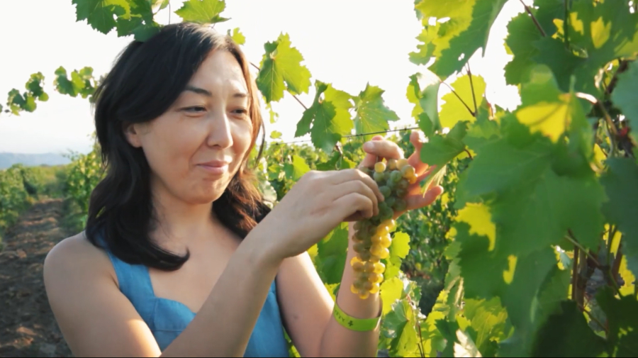 Еңбекшіқазақ ауданының шаруашылығы