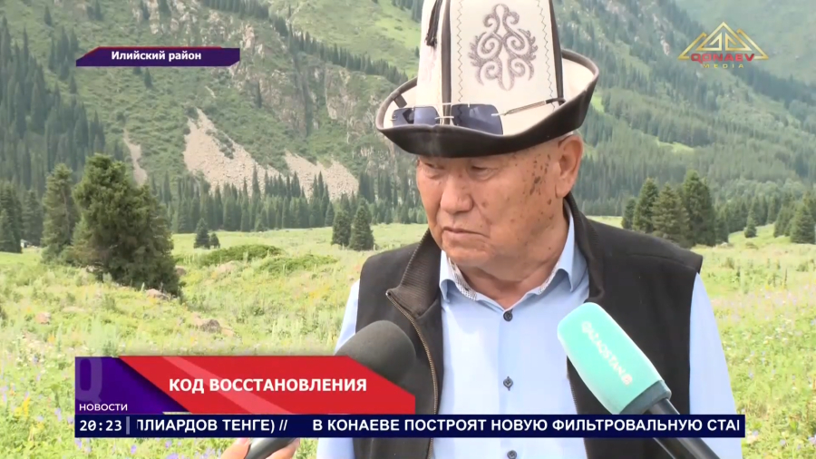 Как восстанавливают пастбища?