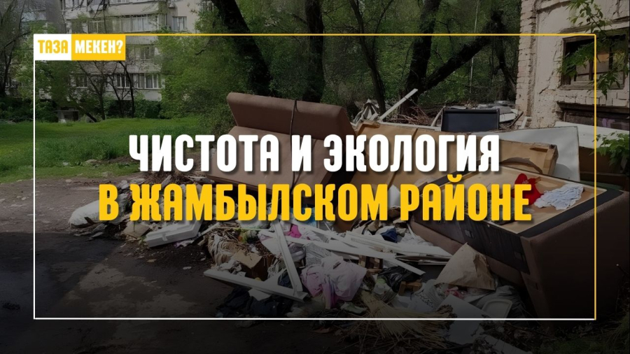 Проблемы чистоты в Жамбылском районе