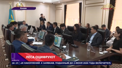 Леса оцифруют
