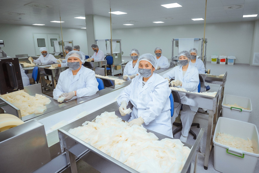 Коллектив компании Dolce поддерживает принятие новой Конституции