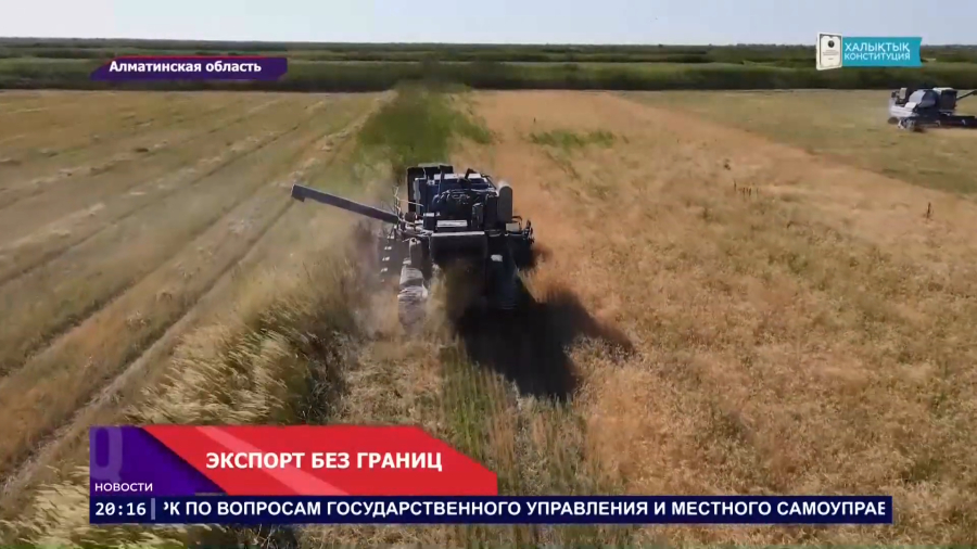 Экспорт Алматинской области выходит на новый уровень!