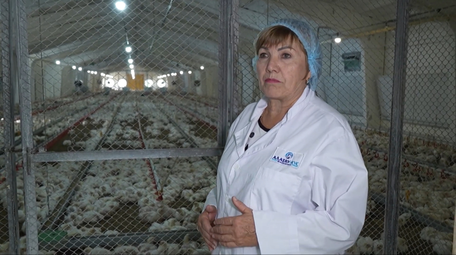 Птицеводство как источник сельского развития