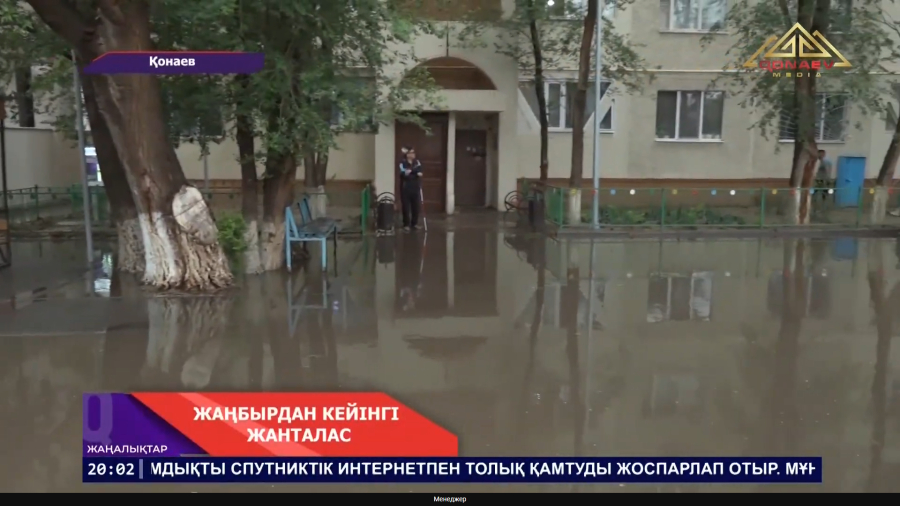 Жаңбырдан кейінгі жанталас