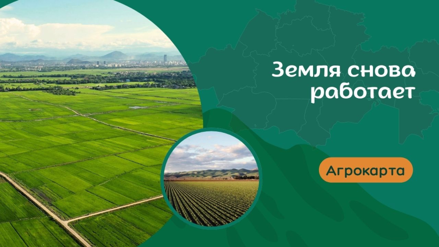 AGROKARTA | Возрождение сельхозземель: опыт местных аграриев