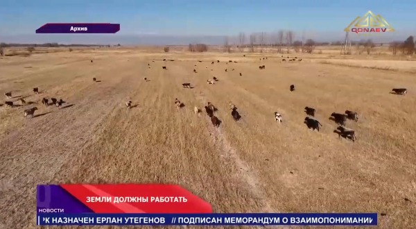 Возврат земель: 1,26 миллиона гектаров — под контролем!