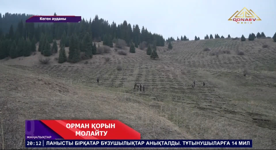 Орман қорын молайту