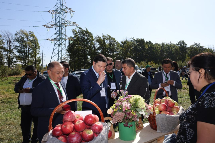 Талғардағы дәстүрлі «Бақ күні»: әйгілі апорт қайта жанданады