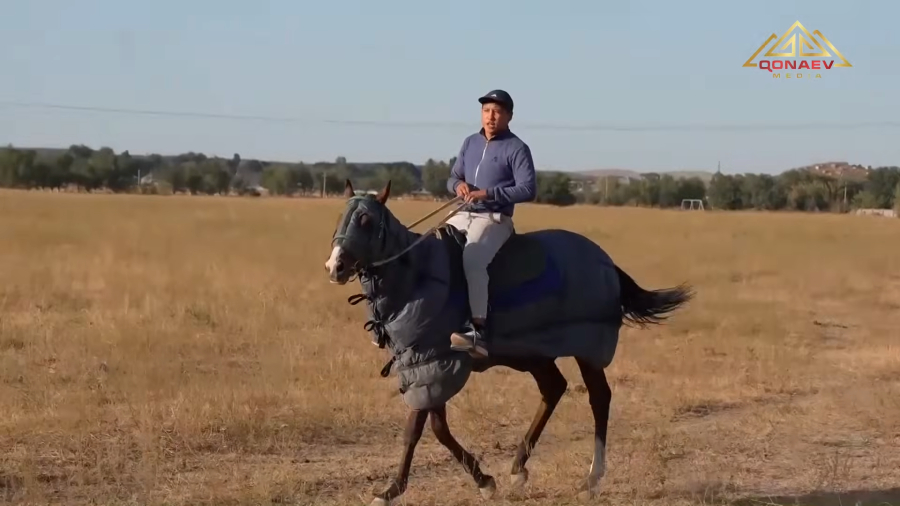 Национальные виды спорта