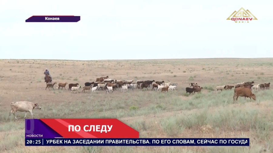 Скотокрады найдены