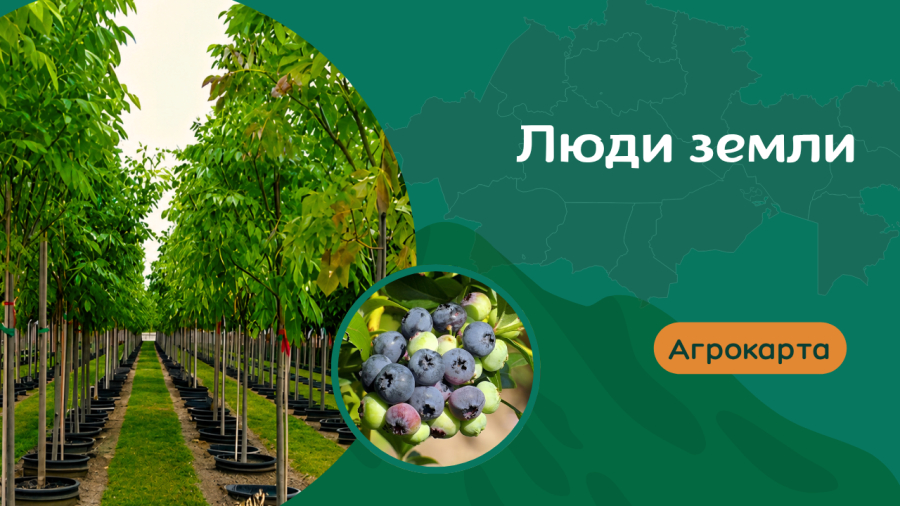 Настоящее фермерство: от растения до большого урожая