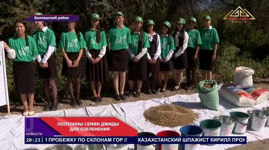 Полтонны семян джиды - для будущего леса