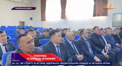 Ставка на генетику