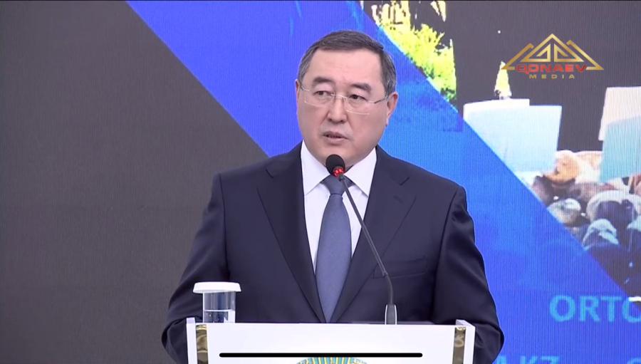 Конаев существенно преобразился после получения статуса областного центра — аким