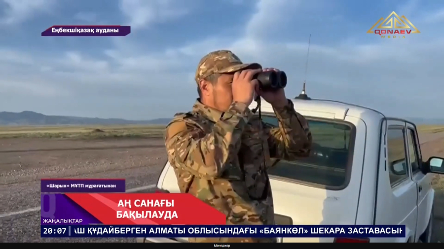 Сирек аңдар мекені  - Шарын