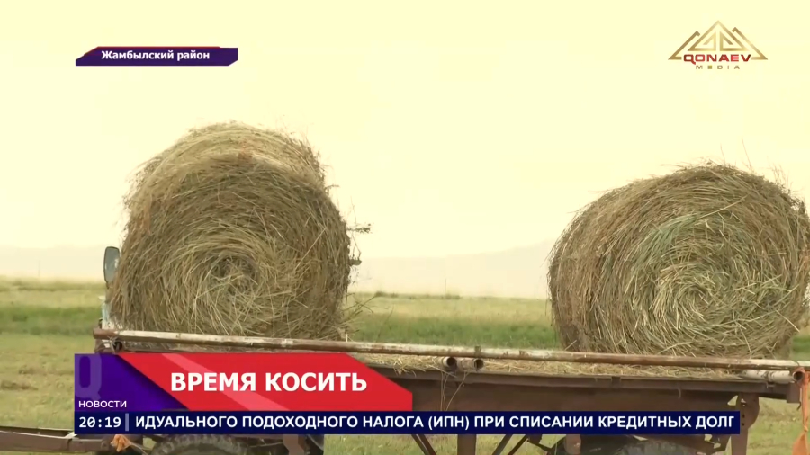 В Жамбылском районе идёт сенокосная кампания