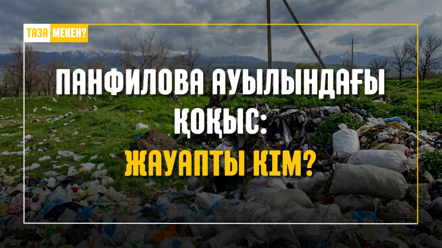 Панфилова ауылындағы қоқыс: жауапты кім?