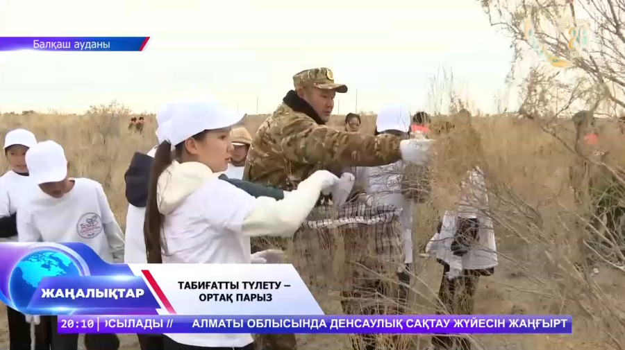 Болашақ орманға – 10 тонна тұқым