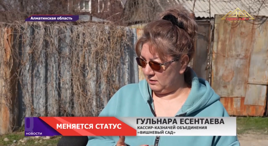 Дачи становятся сёлами: кто получит статус и как это изменит жизнь тысяч семей