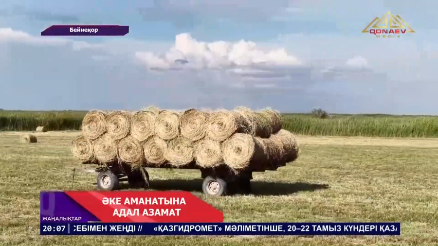 Жаздың әр күнін тиімді пайдаланған шаруалар қыстық мал азығын қамдап жатыр