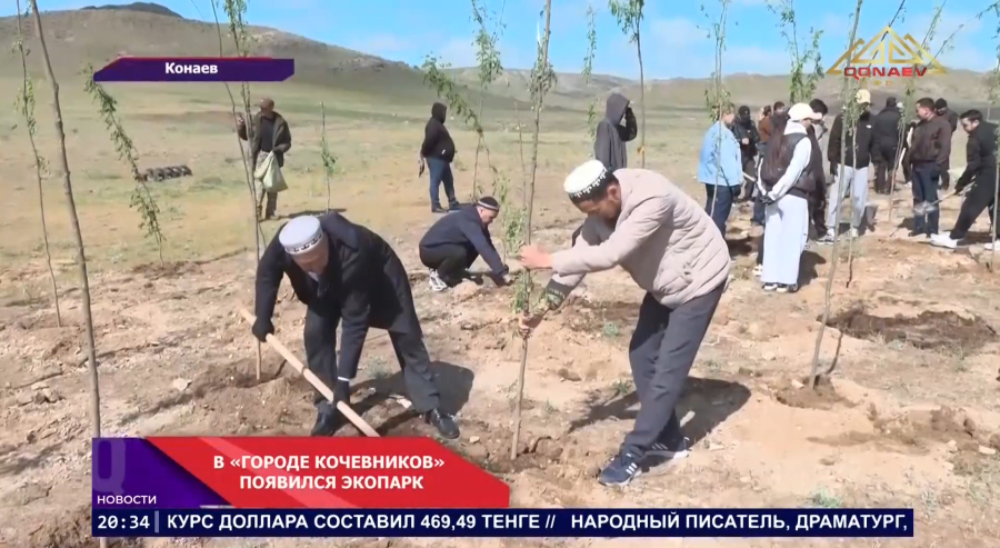 В Алматинской области продолжается масштабное озеленение в рамках программы «Таза Қазақстан»