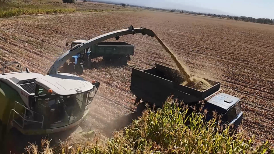 «Адал» компаниясы: ауыл шаруашылығында жаңа технологиялар мен жоғары өнімділік