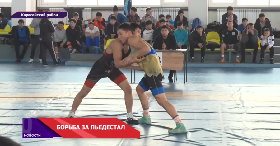 Более 200 юных борцов со всей Алматинской области сошлись на одном ковре в Карасайском районе