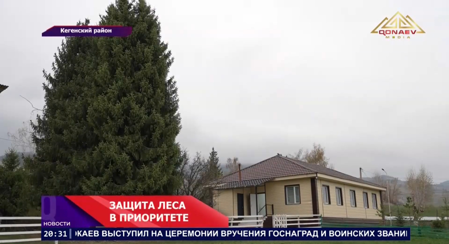 В Кегенском лесничестве усиливают охрану лесного фонда и работу по восстановлению зелёных массивов