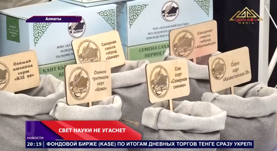 Свет науки не угаснет