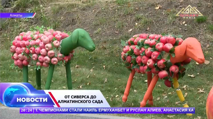 В лучших традициях города яблок