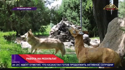 Юные инспекторы движения — за безопасность на дорогах