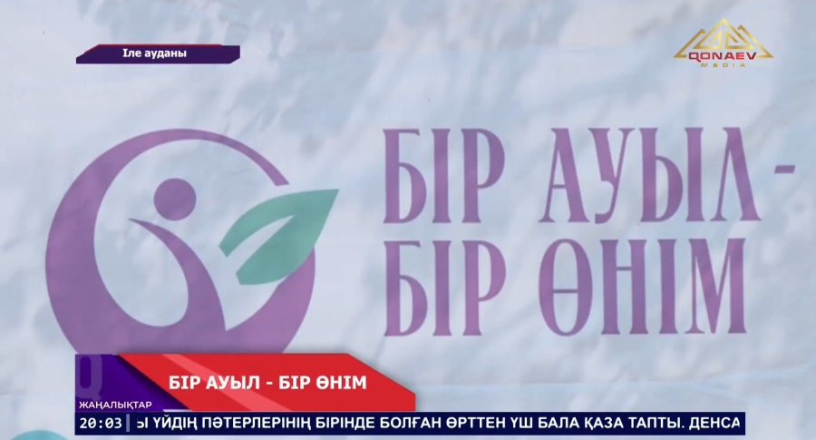 Іле ауданында кәсіпкерлер көрмесі өтті