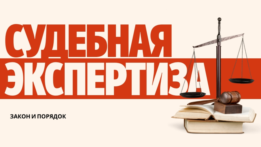 Судебная экспертиза: как устанавливается истина?