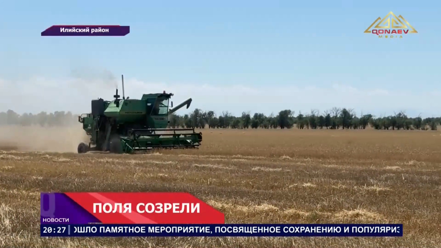 Поля созрели!