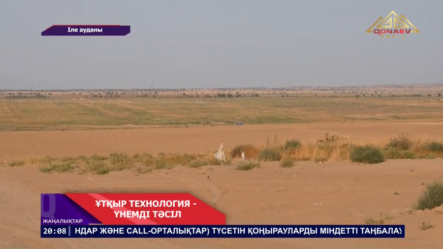 Ауқымды агрожоба