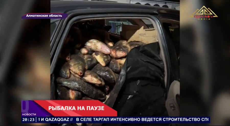 Рыбалка на паузе
