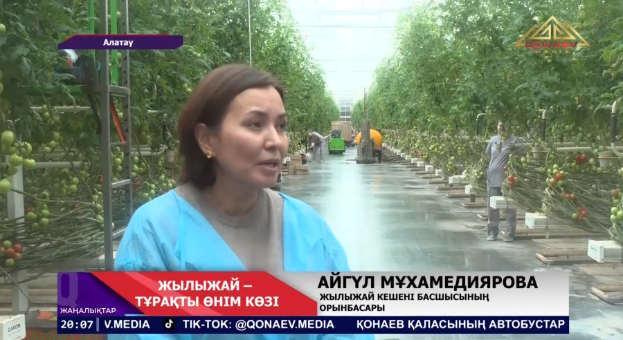 Алматы облысында жылыжай шаруашылығы қарқынды дамып келеді