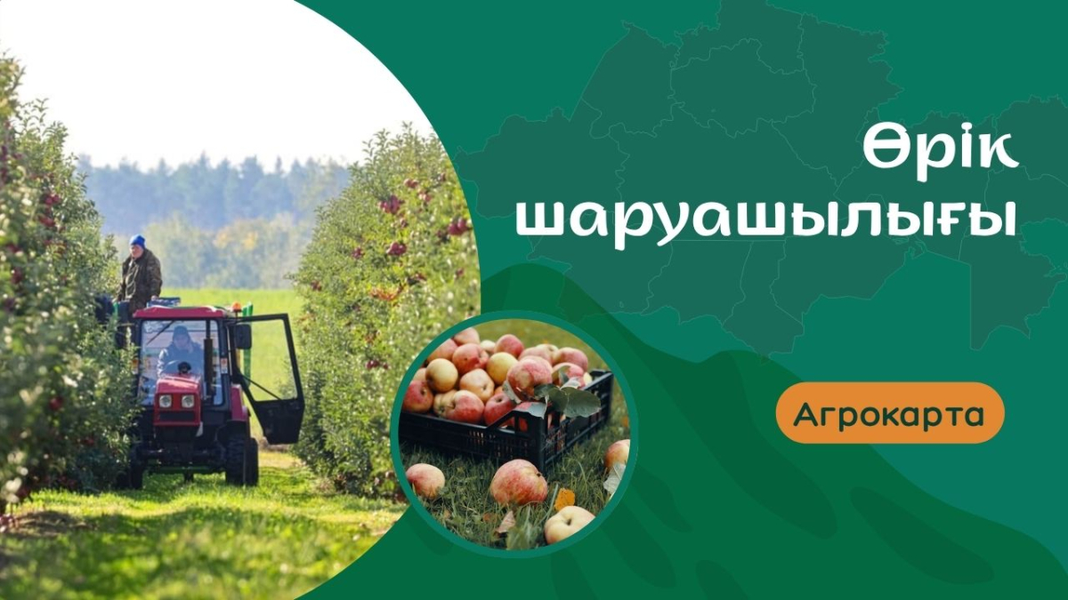 Алматы облысындағы өрік шаруашылығының дамуы