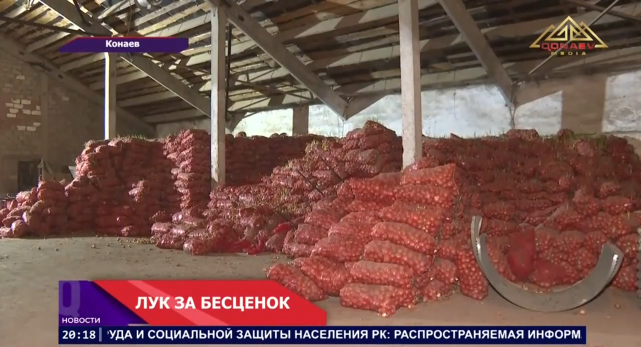 Фермеры на грани убытков: тысячи тонн лука остаются на складах, цена упала до минимума