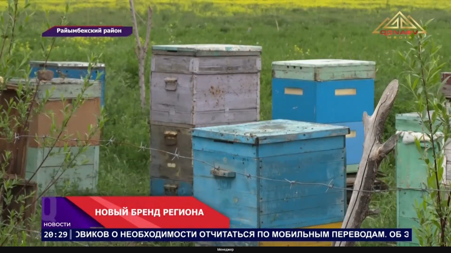 Новый бренд региона