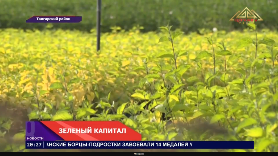 Зеленый капитал