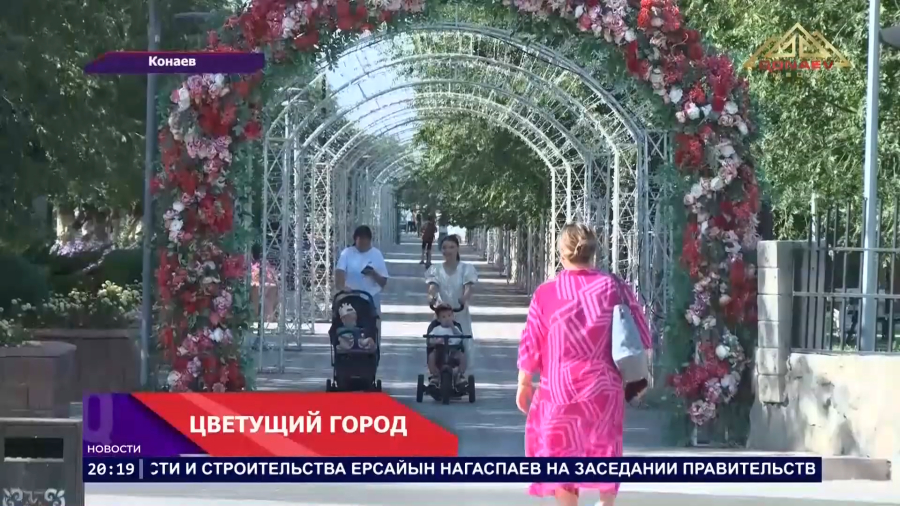 Город ярких красок