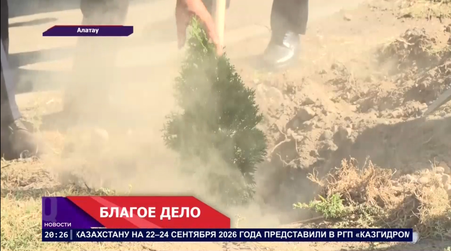 Твори добро