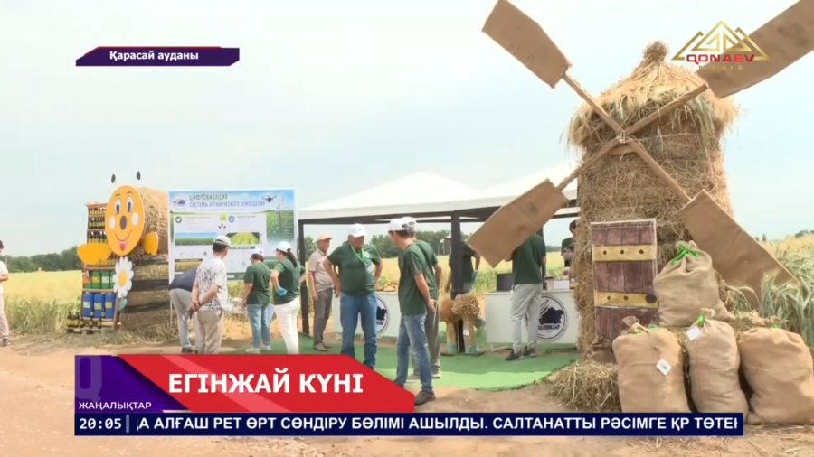 Егінжай күні