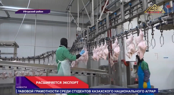 Птицефабрика нарастила объёмы производства