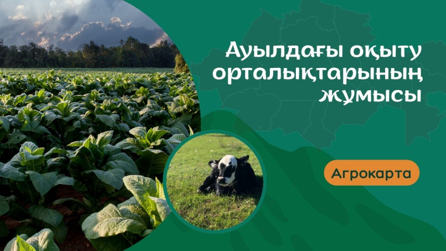 Ауылдағы білім: көрінбейтін мәселелер мен шынайы өмір